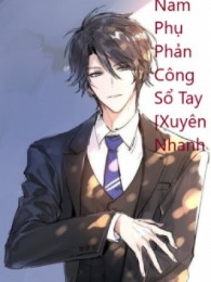 Nam Phụ Phản Công Sổ Tay [Xuyên Nhanh]