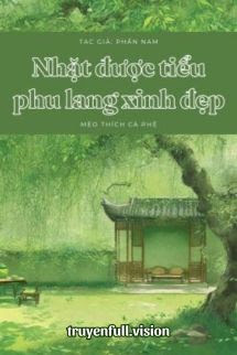 Nhặt Được Tiểu Phu Lang Xinh Đẹp