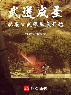 Võ Đạo Thành Thánh, Từ Mỗi Ngày Võ Học Thêm Điểm Bắt Đầu